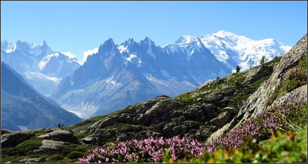 Le Dahu Hotel Chamonix Exterior foto